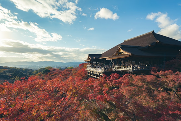 Kiyomizu-dera temple Kyoto photoshoot
